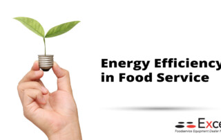 Hand holding a lightbulb with a leaf sprouting from it, headline energy efficiency in foodservice